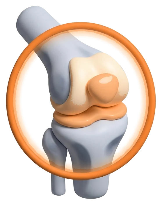 Rheumatology illustration